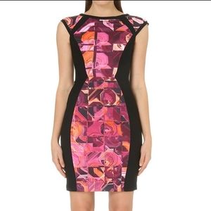 TED BAKER LONDON Jasmaii Pink and Black Geometric Print Panel Dress (Like New)